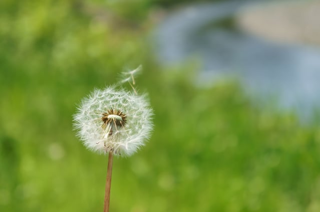 いくつ知っている？ 「季節風」の種類と特徴を解説 | オトナンサー