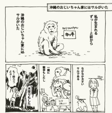 漫画「沖縄のおじいちゃん家にはサルがいた話。」のカット＝明（＠rikukamehameha）さん提供