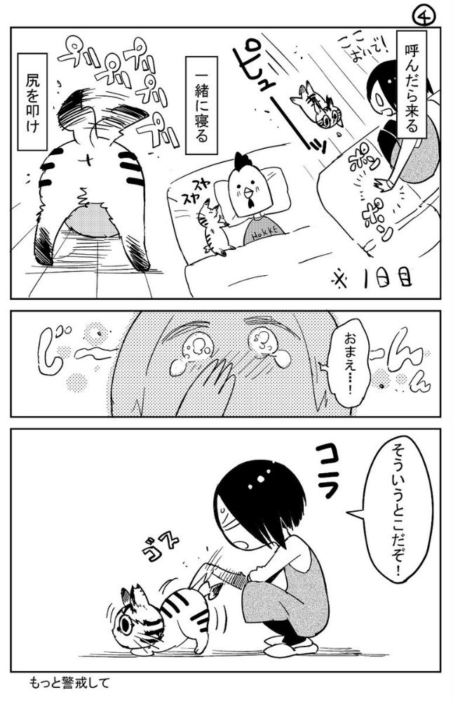 漫画「猫飼いました(2)」=天道グミ(@kawakimon)さん提供