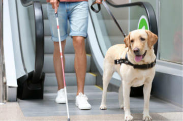 盲導犬理由に入店拒否、法的問題は？