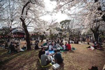 上野公園で花見をする人たち。都は「宴席自粛」を呼び掛けたが…（2020年3月、AFP＝時事）