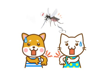 犬や猫も蚊に刺される？