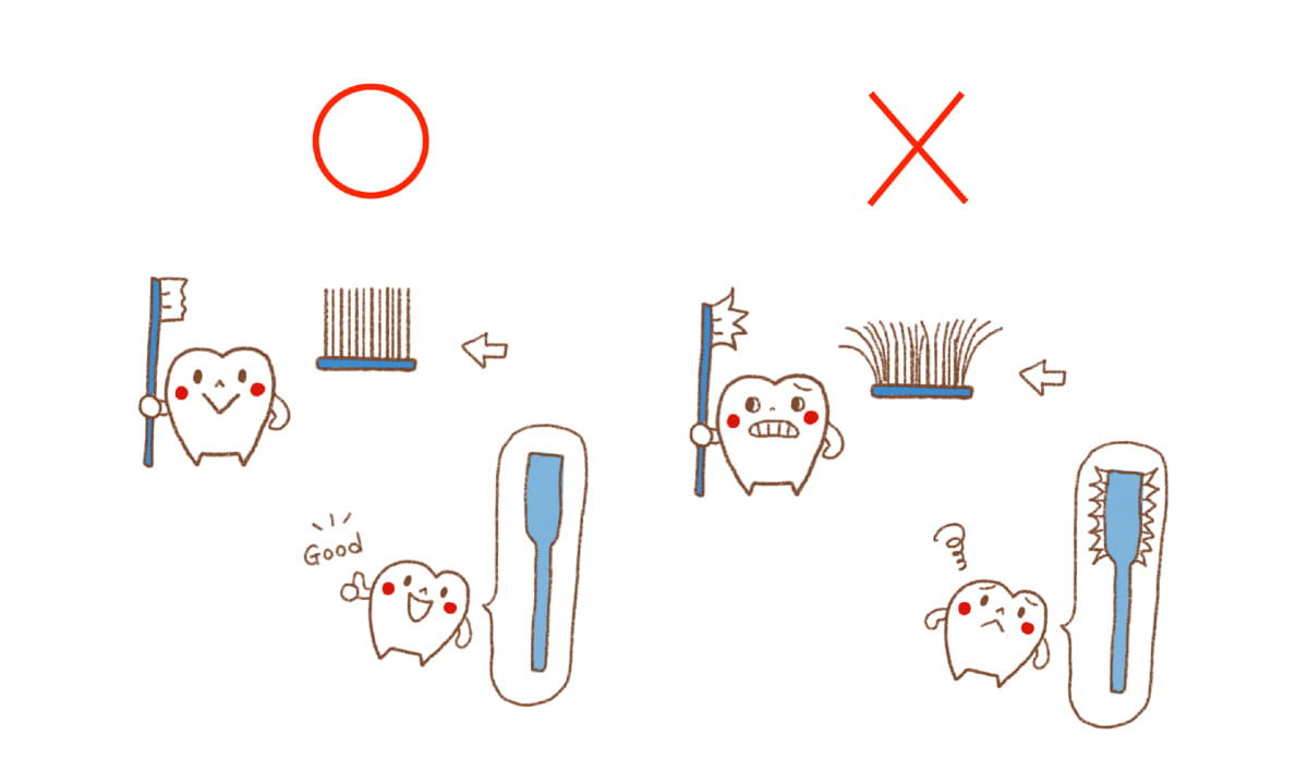 望ましい状態の歯ブラシ（左）と交換時期の歯ブラシ（岡井有子さん提供）