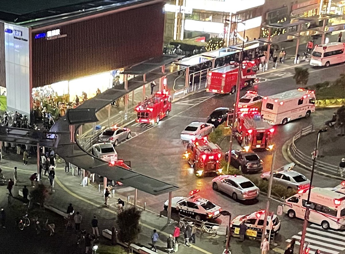 ミノカサゴについて