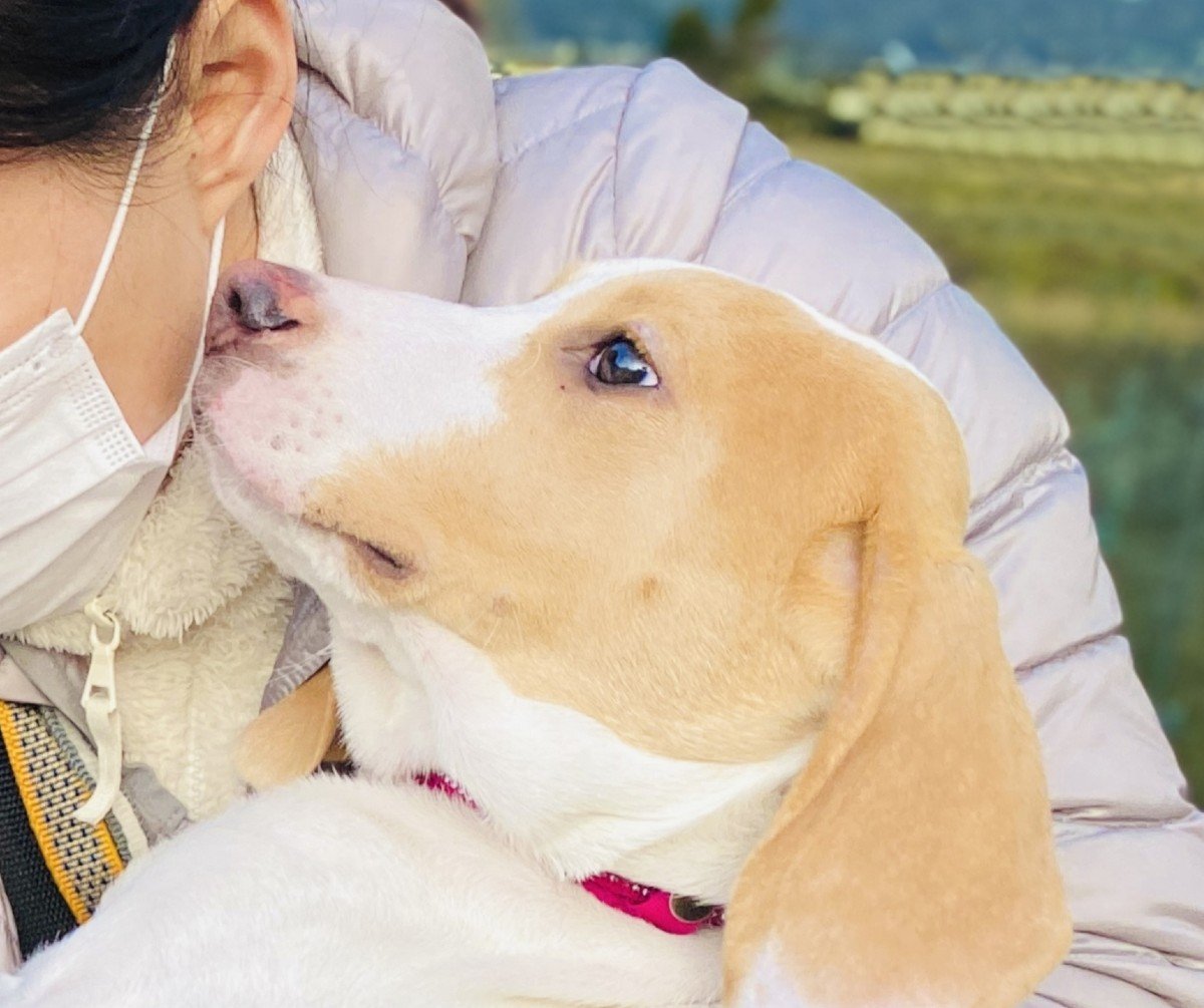 ペットと飼い主 同時に体調不良