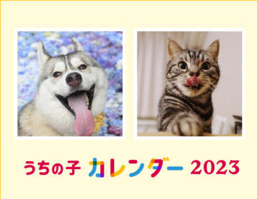 アイペット公式カレンダー表紙のイメージ（アイペット損害保険提供）