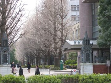 「時代にマッチしている」イメージの大学は？