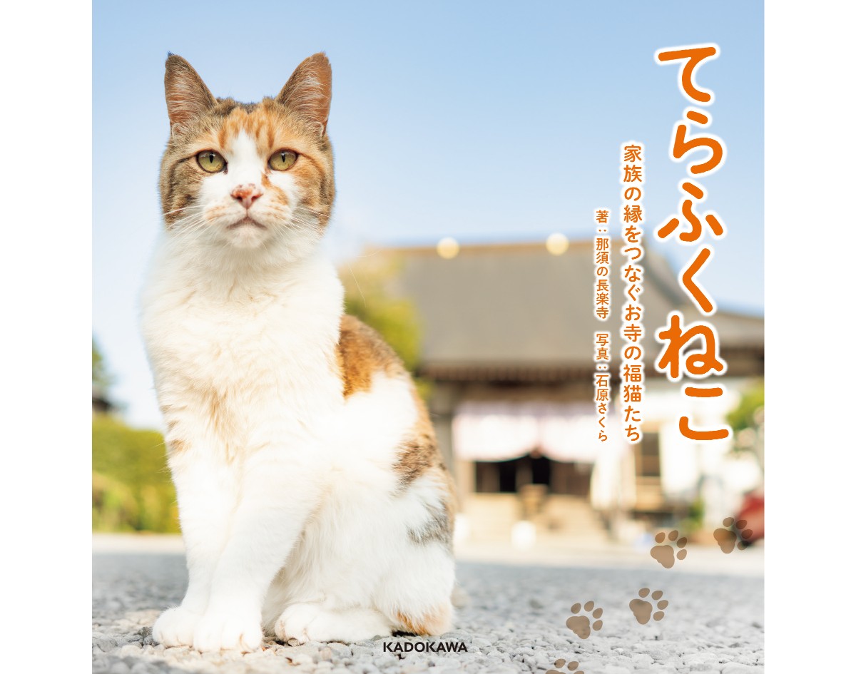 写真集「てらふくねこ　家族の縁をつなぐお寺の福猫たち」表紙（KADOKAWA提供）