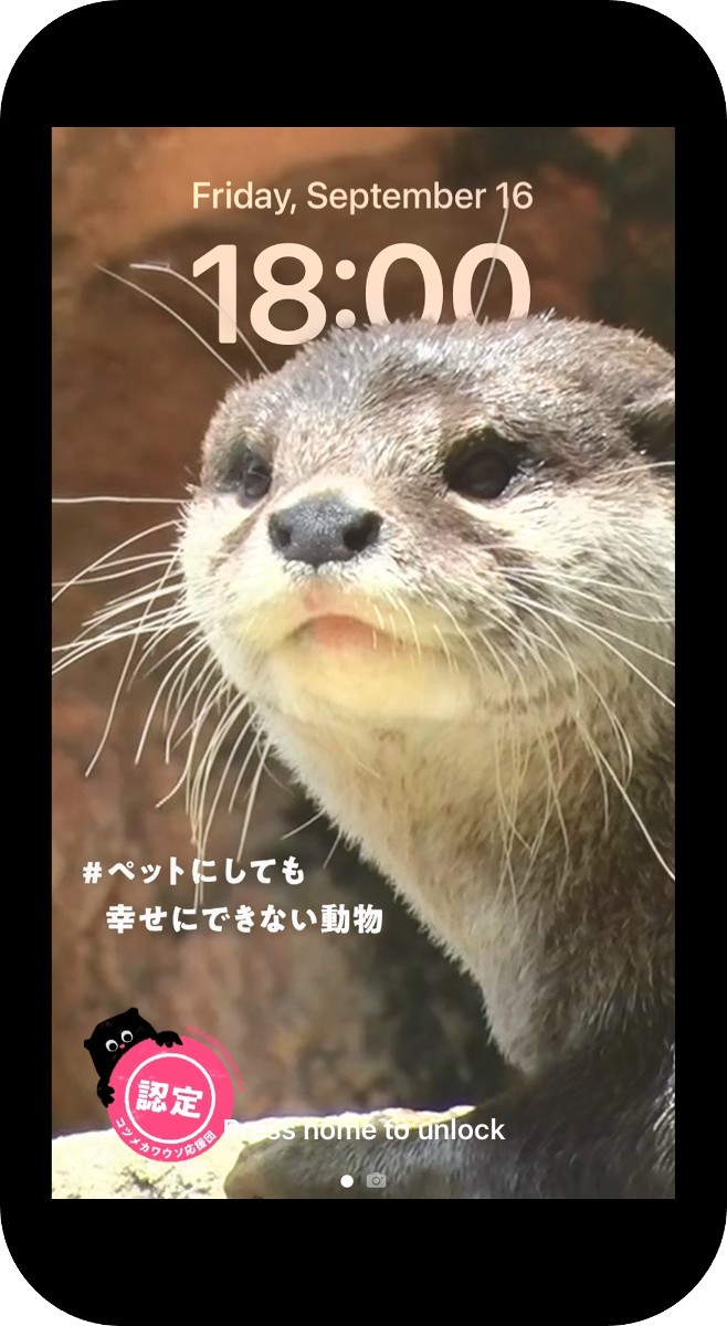 コツメカワウソやスナネコのペット化見直し 公式応援団 認定開始 オトナンサー