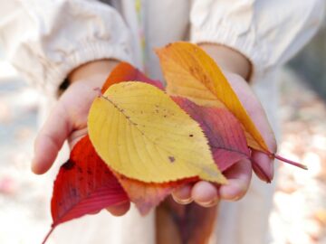 “親心”がわが子を苦しめることも？