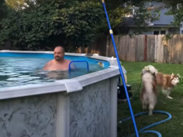 プールに入りたくてたまらない！？