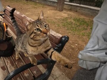小悪魔すぎるって…!