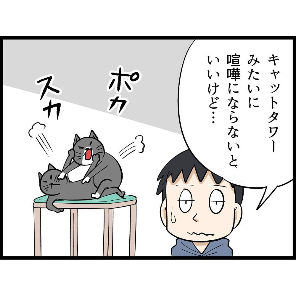 ホットカーペットと愛猫たちについて描いた漫画のカット（NOBOさん提供）