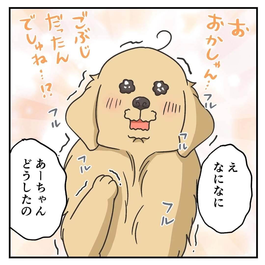 漫画「家に帰ってきたら犬の様子がおかしいんだが？」のカット（餅付きなこさん提供）