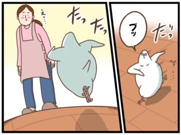 漫画「感動の再会」のカット(タクセニョリータさん提供)