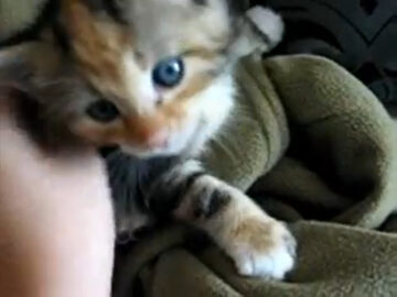 毛布の中でお目覚め！