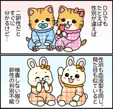 漫画「双子って3種類あんねん」のカット(メェメェさんさん提供)