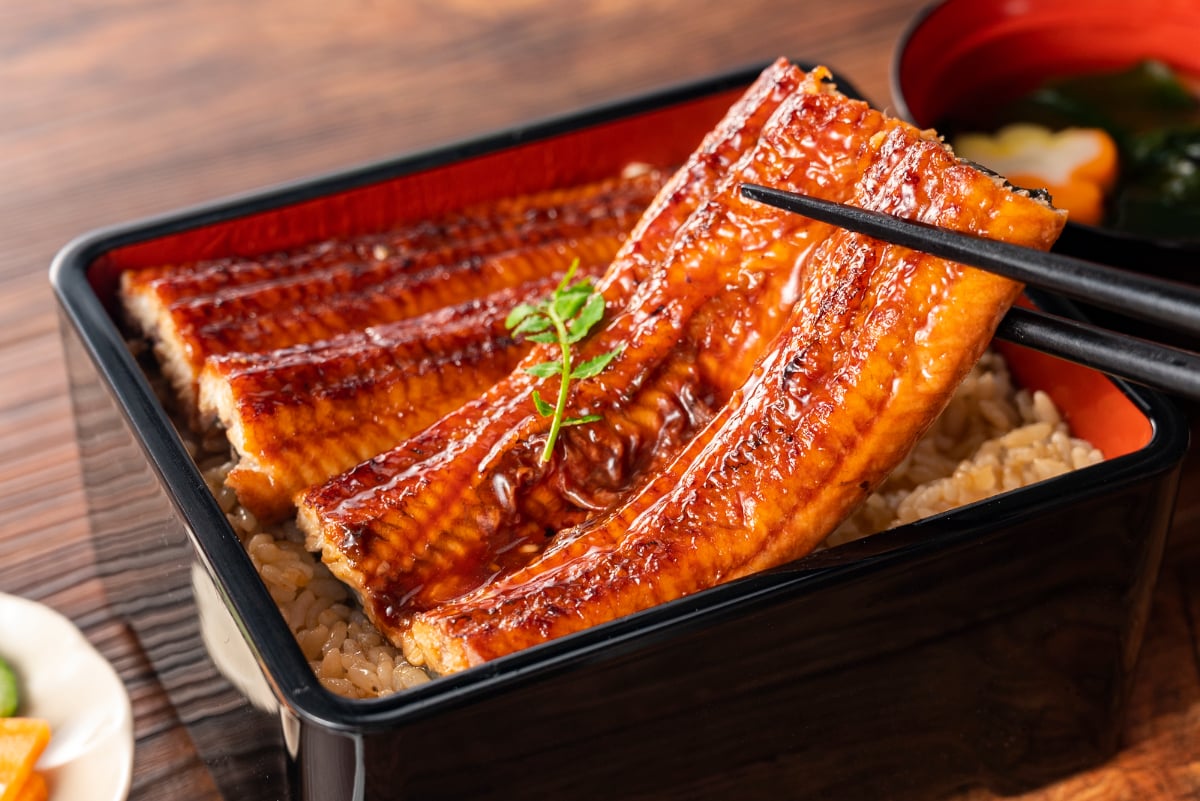 養殖ウナギのオスとメスの違いは？（画像はイメージ）