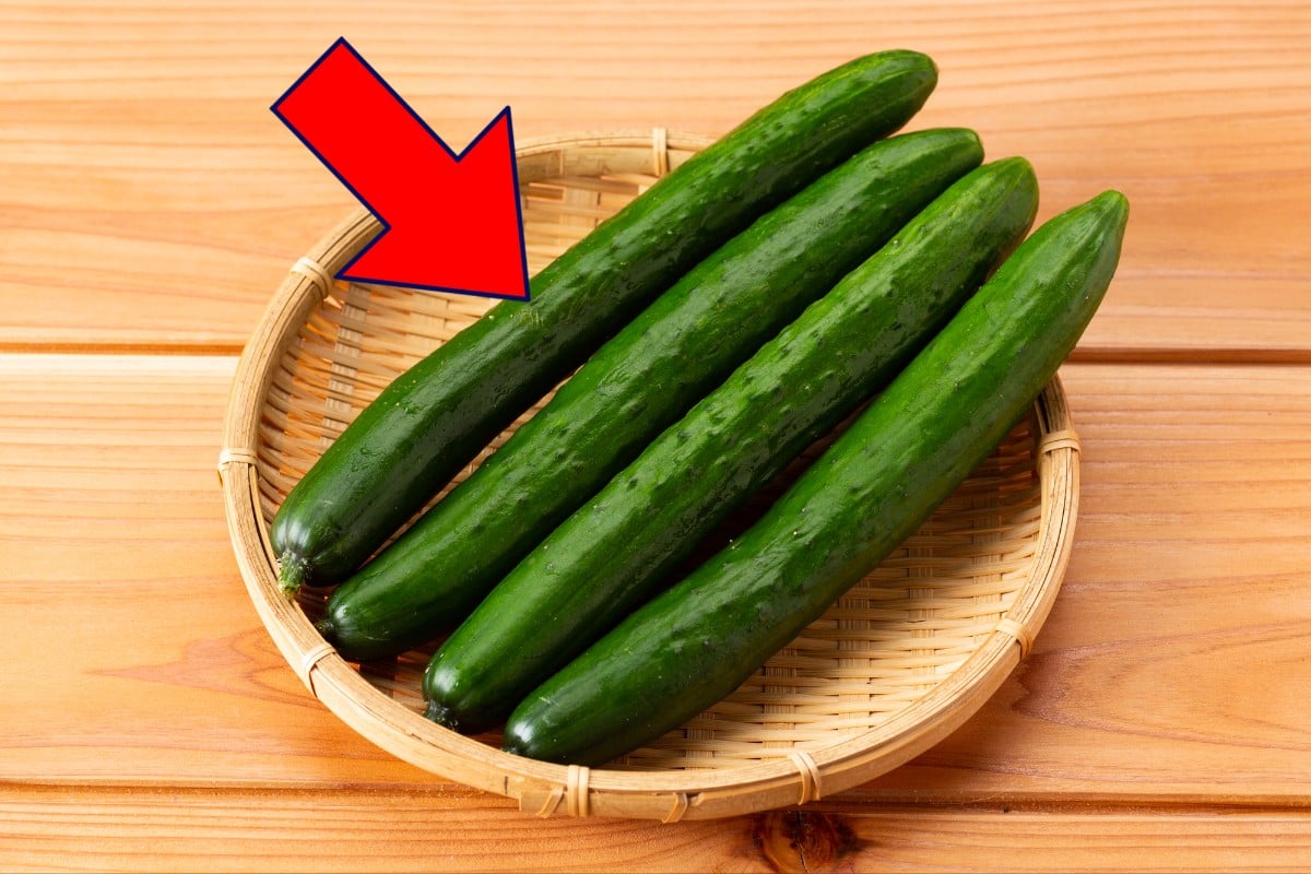 キュウリには「栄養がない」！？