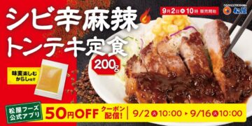 ピリッとしびれる辛さが味わえる