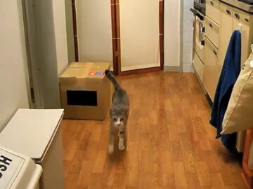 大興奮じゃん！