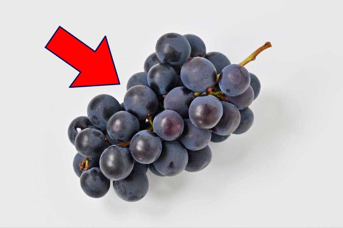 表面の“白い粉”の正体は…？