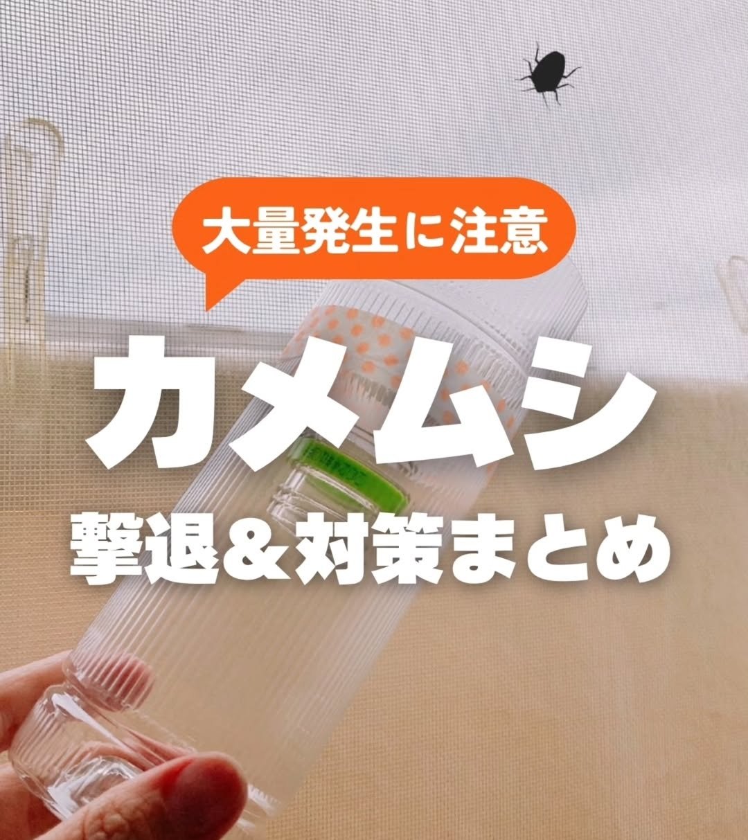 くらしのマーケットの公式インスタグラムアカウントより
