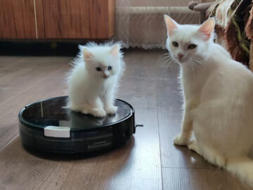 誇らしげな表情だけど…