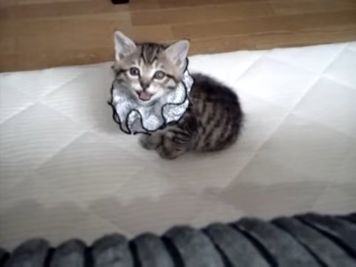 お返事してる！