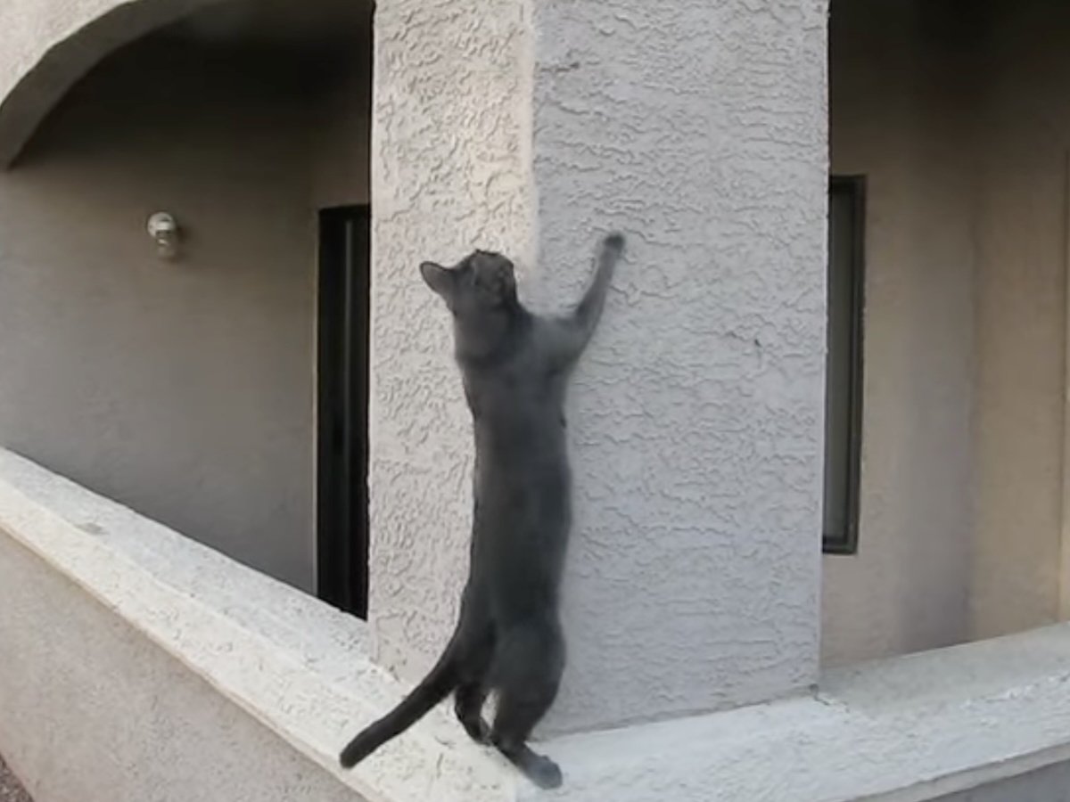 直角だけど……どうやって登るの？