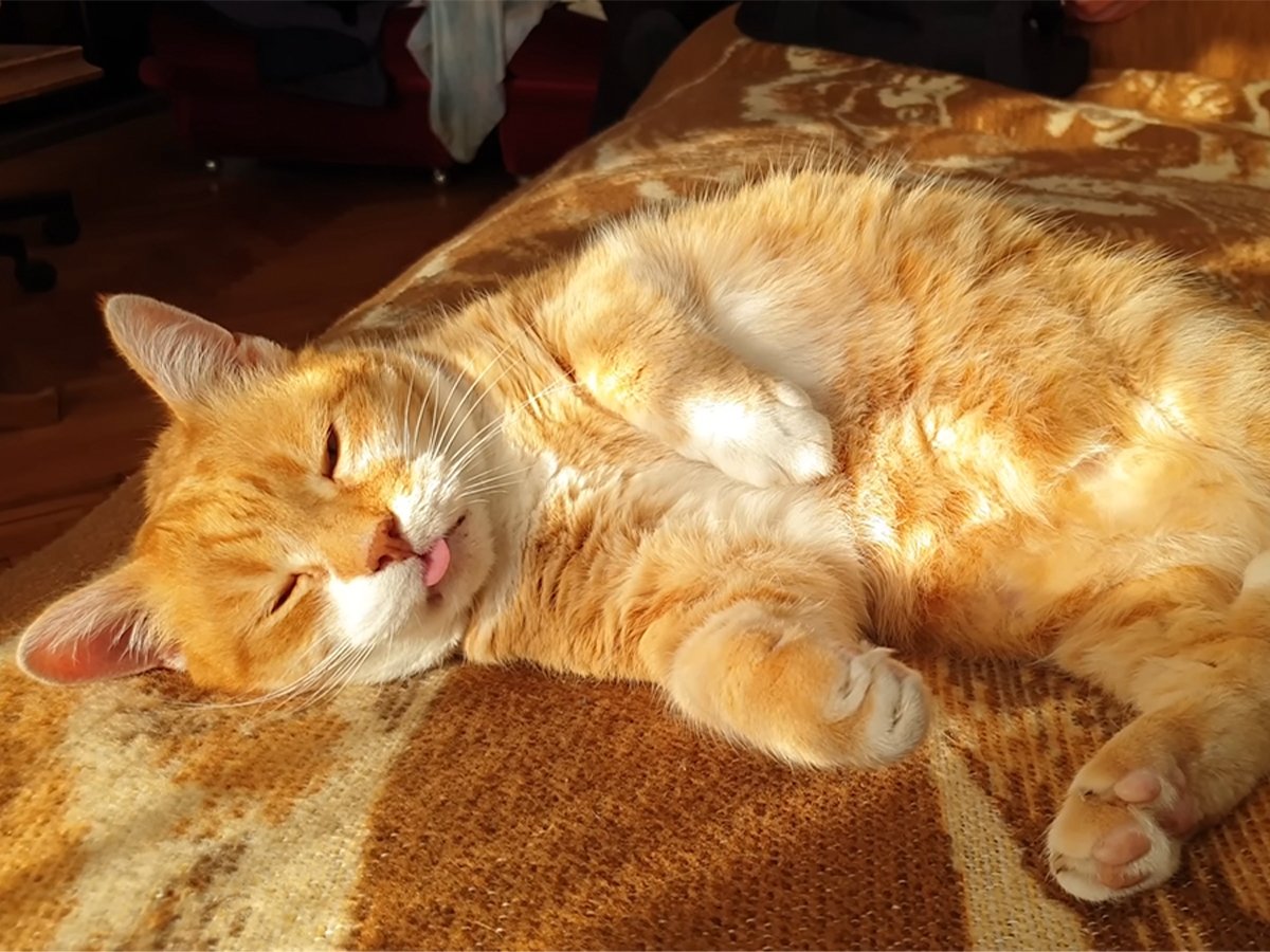 まだまだ眠そう……！