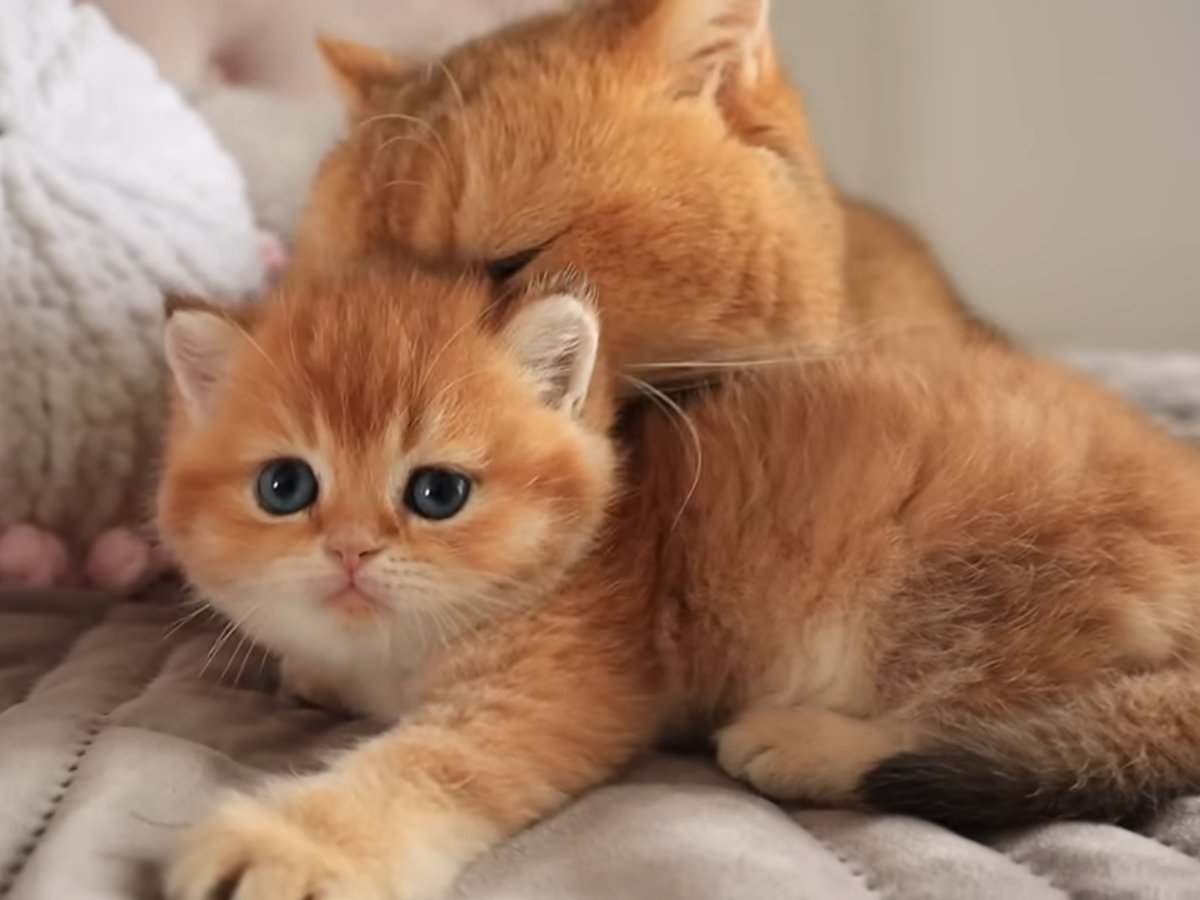 最初は緊張していたけど…