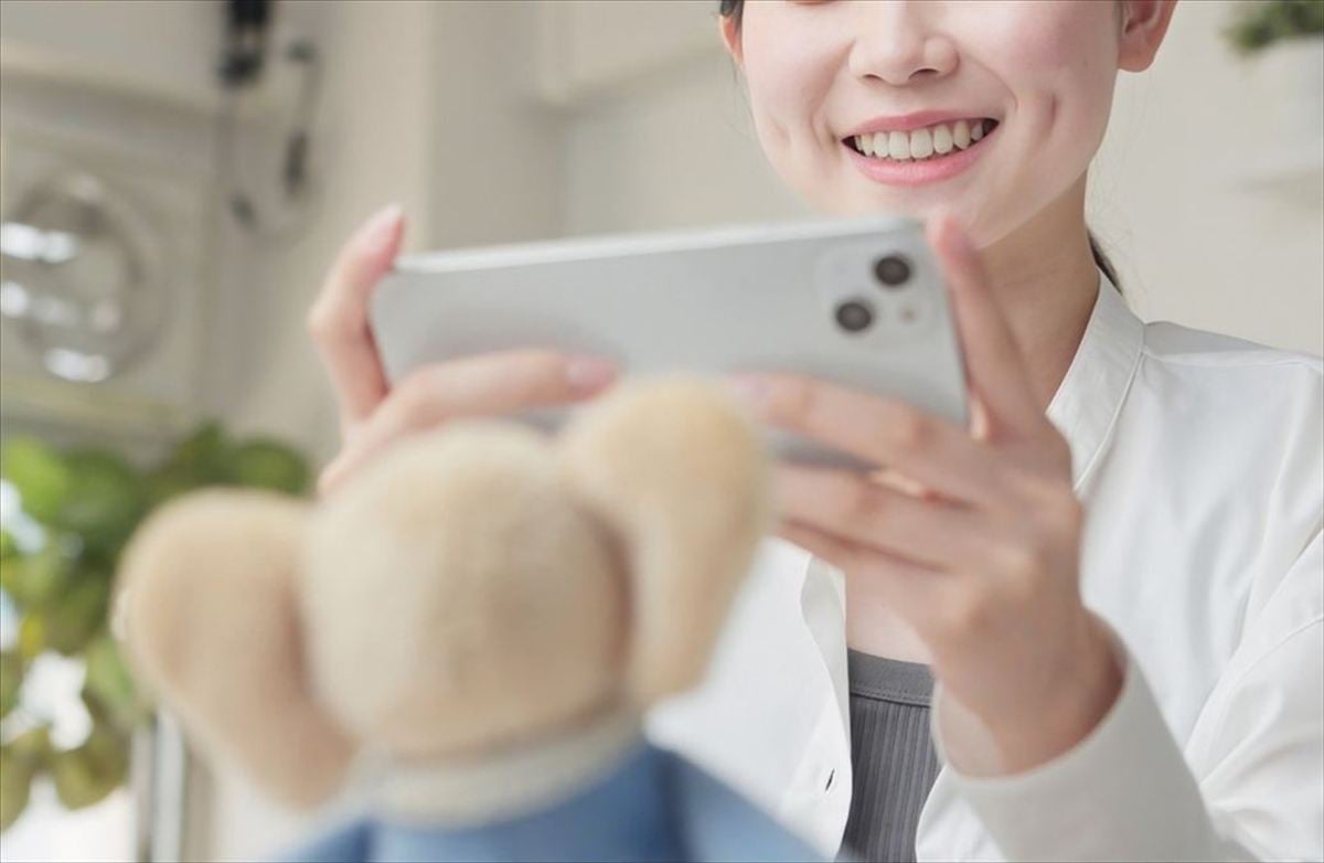 「ぬい活」をする人の心理とは