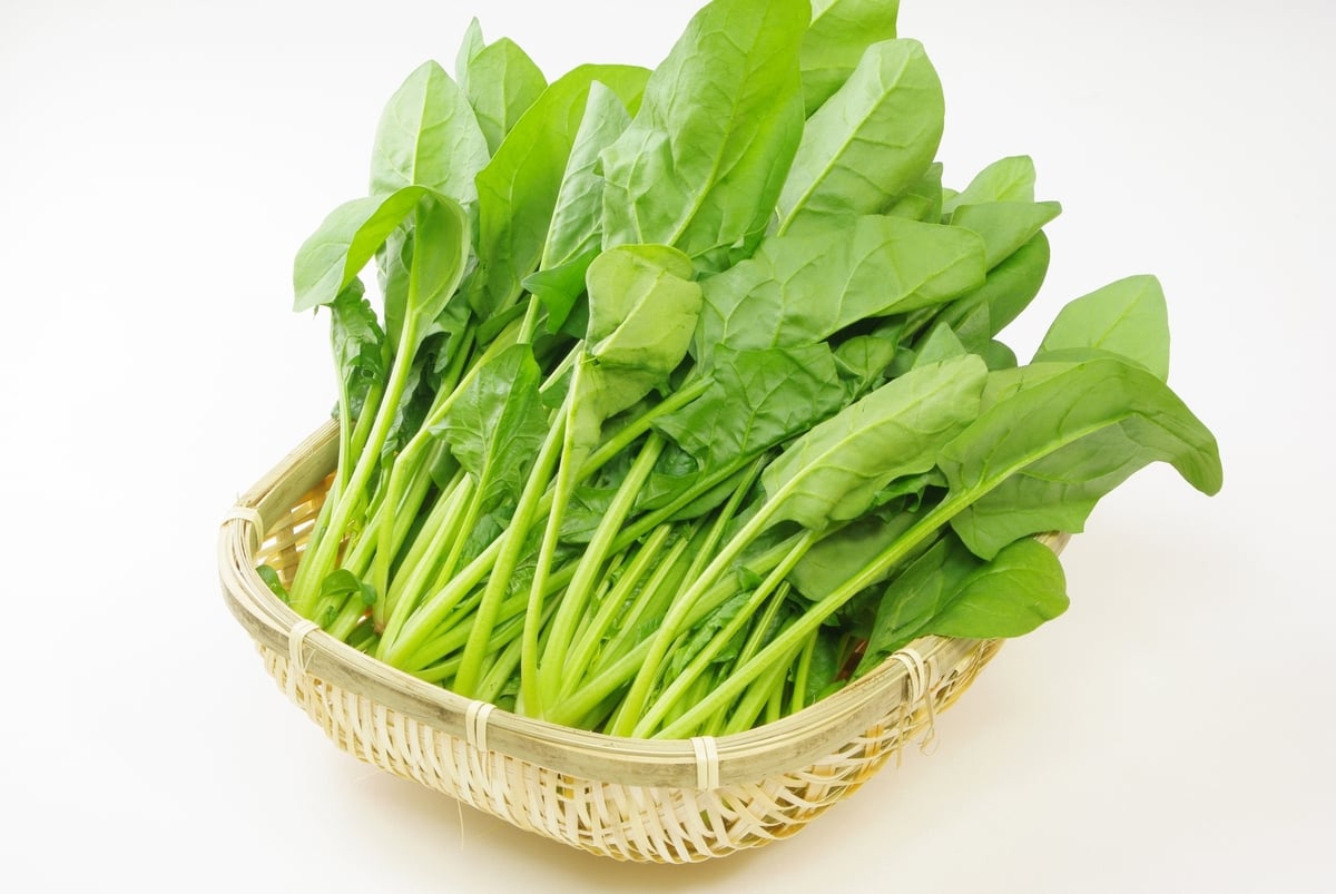 ホウレンソウと相性が良い食べ物とは？