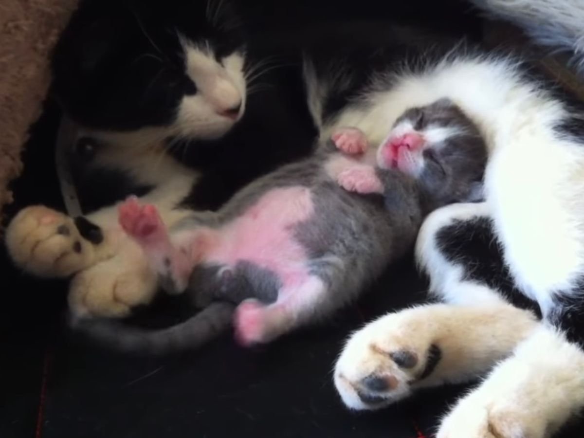 この寝相、たまらん…