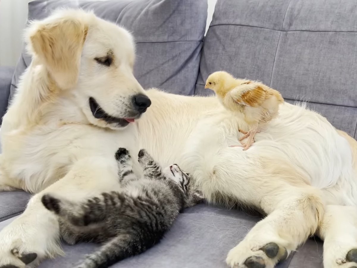 心温まる光景……