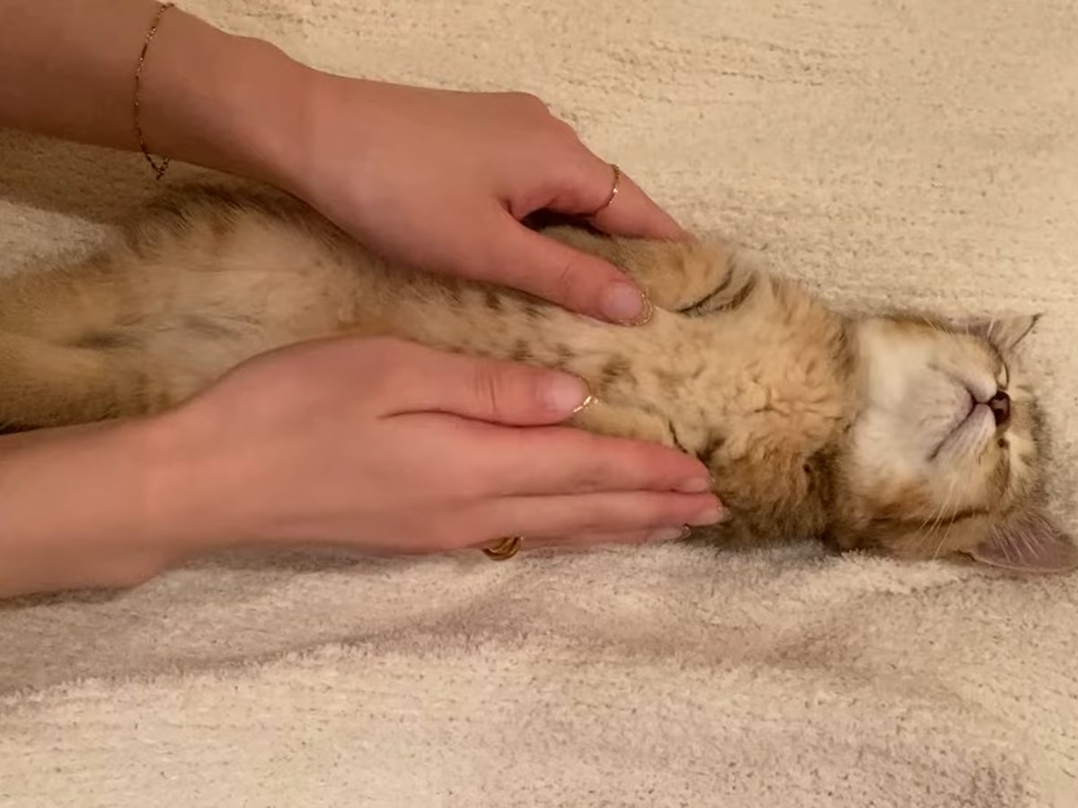 そ〜っとベッドに置くと…