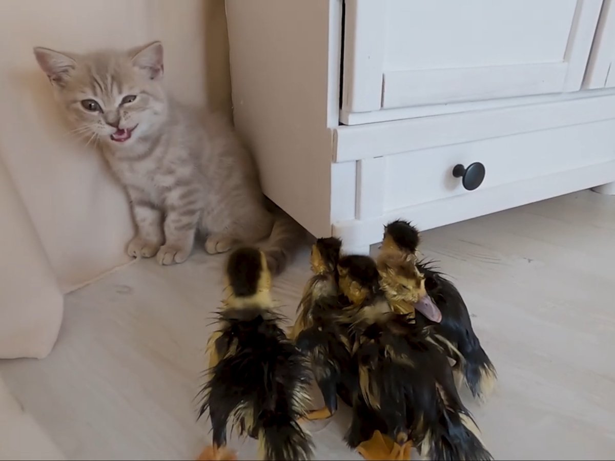 どうしてこうなった……？