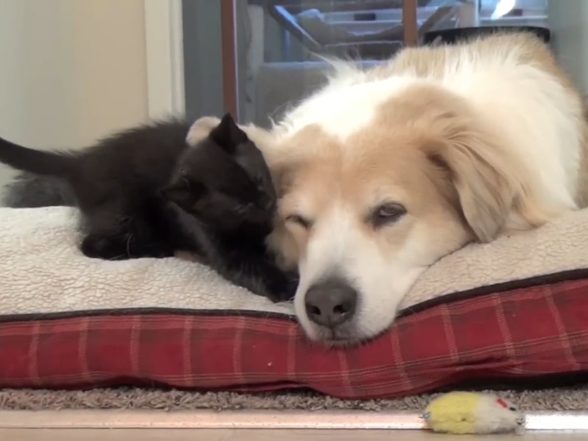 何をされても動じない？