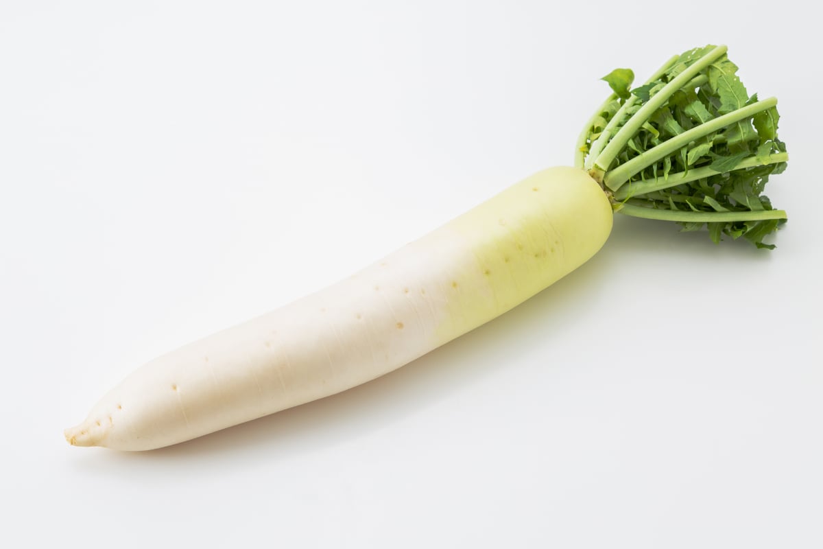 ダイコンの部位別のお勧めの活用法は？