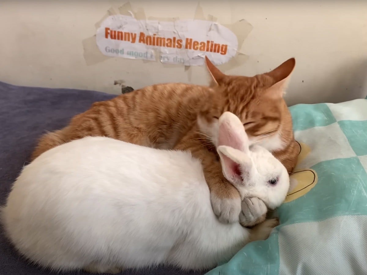 みんなのことが大好き！