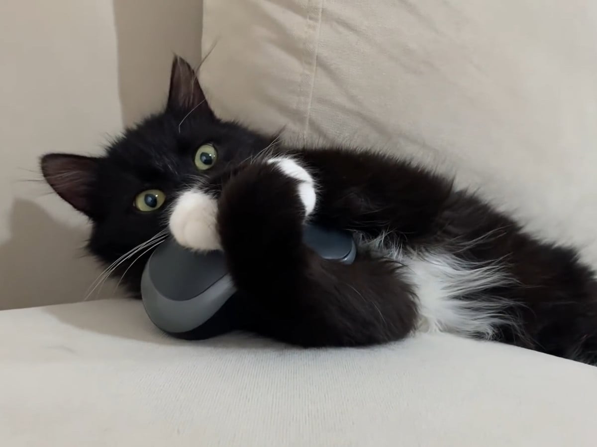 ぎゅっとハグ！