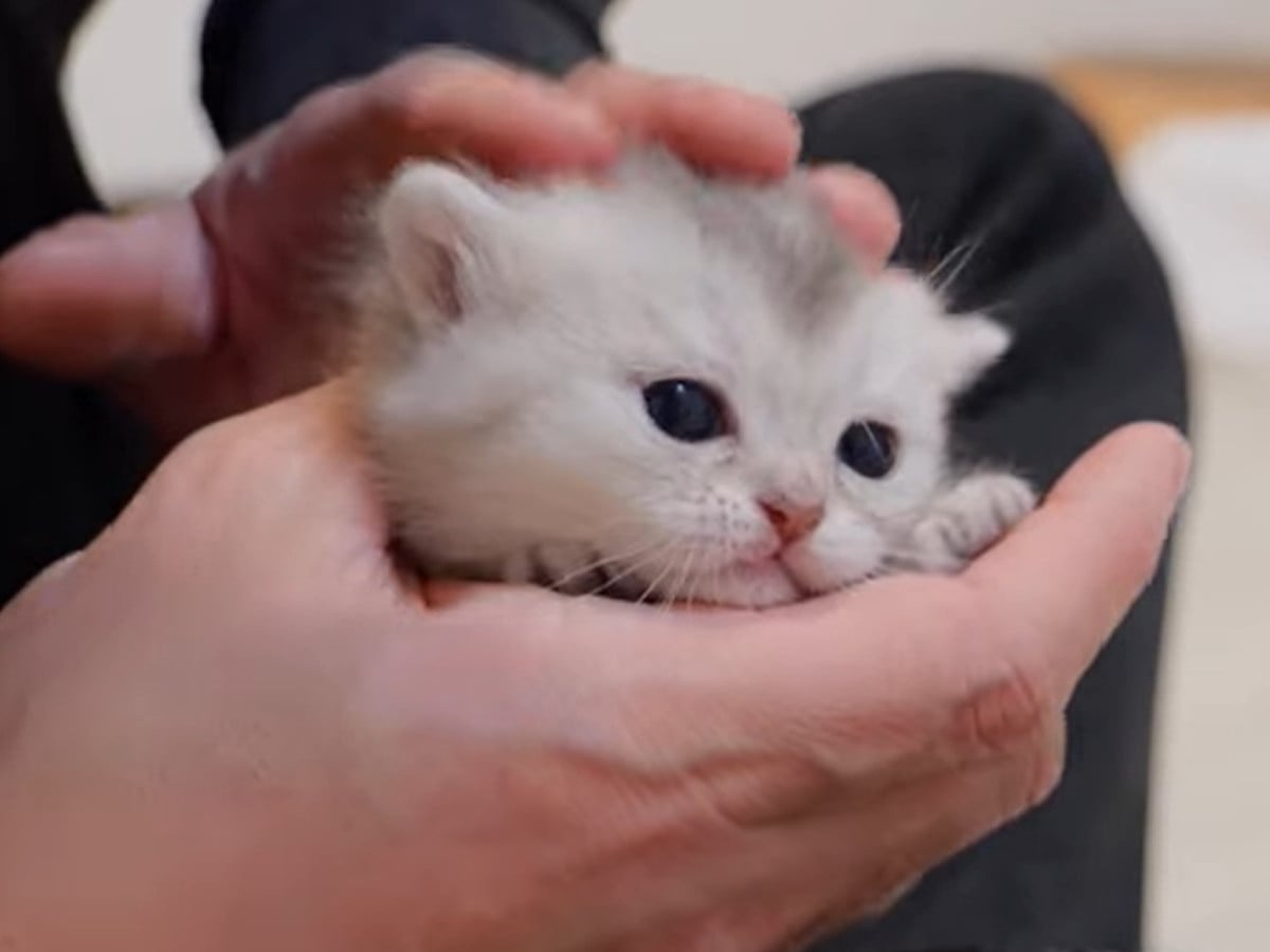 ナデナデされてうれしそう！