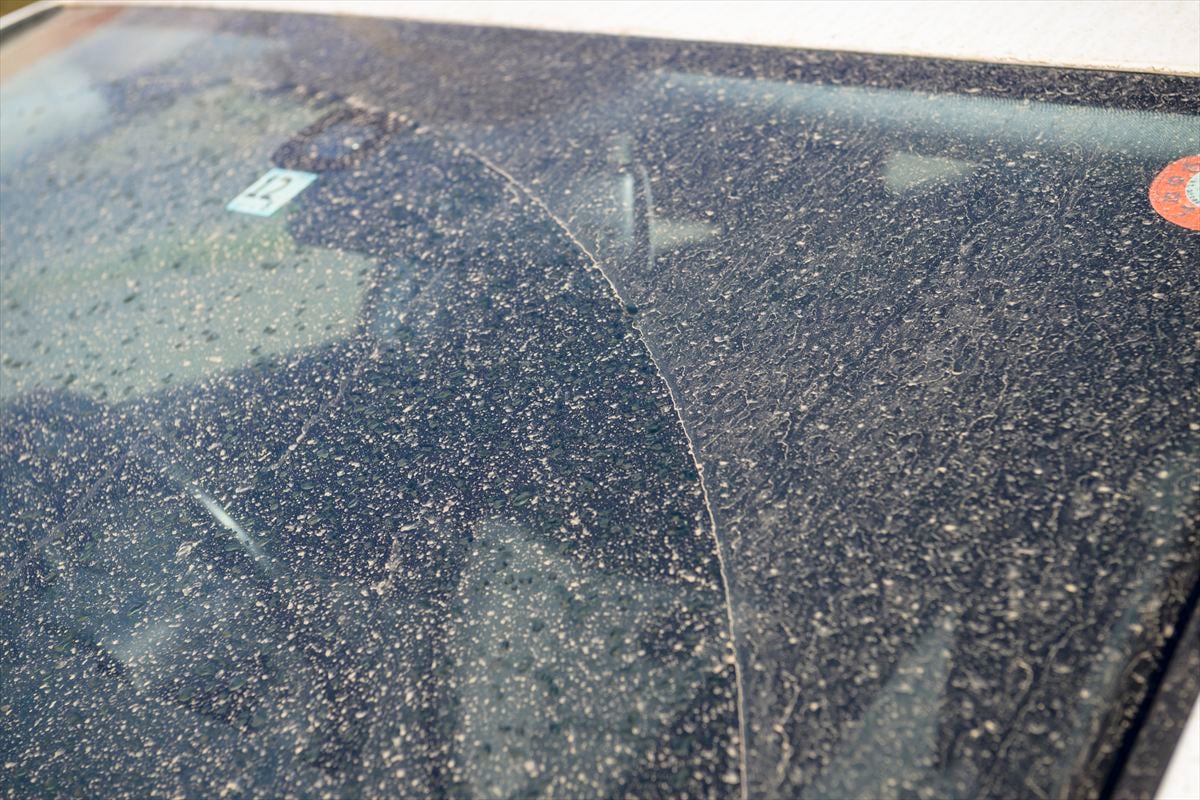 洗車に適した時季＆天気とは…