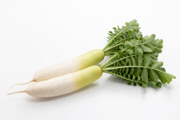 ダイコンの葉に含まれている栄養素は？