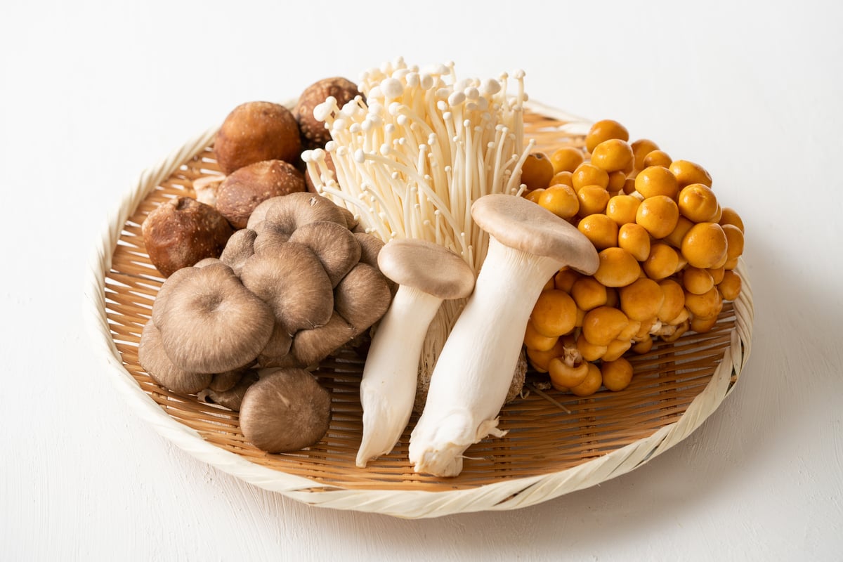 キノコを食べ過ぎたときのリスクとは？