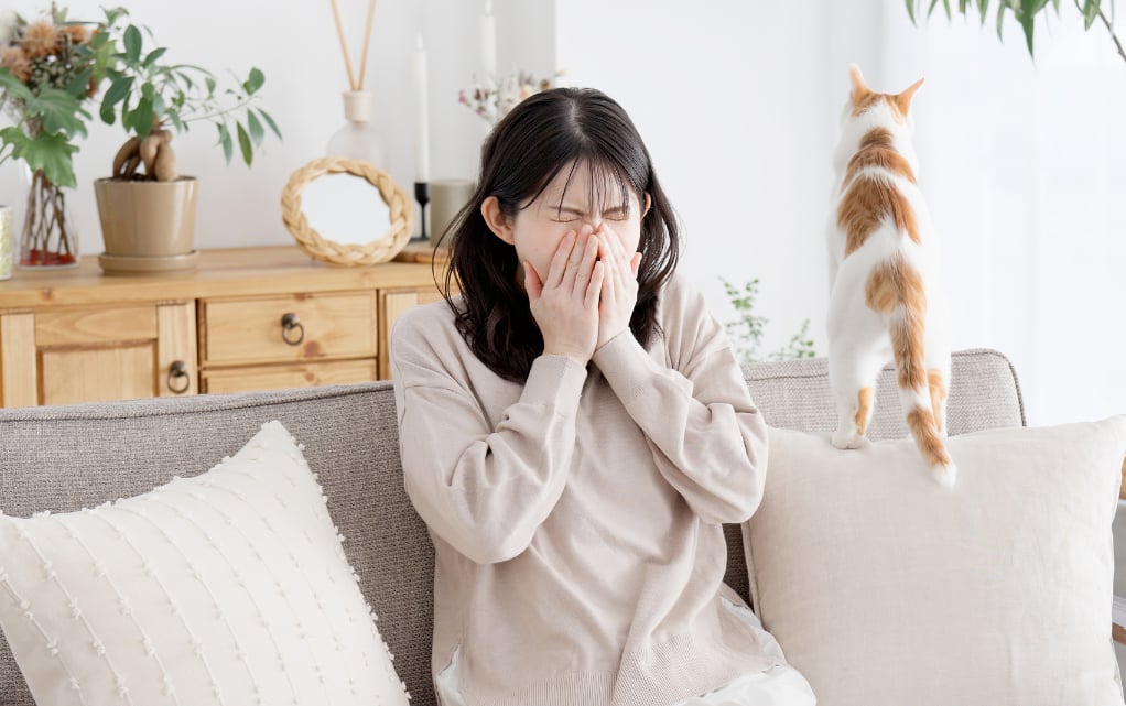 猫アレルギーになりやすい人、なりにくい人の違いとは？（画像はイメージ）
