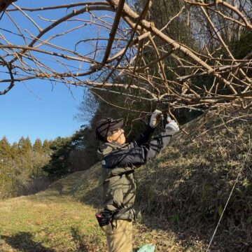 CHIZUFARMでの作業風景