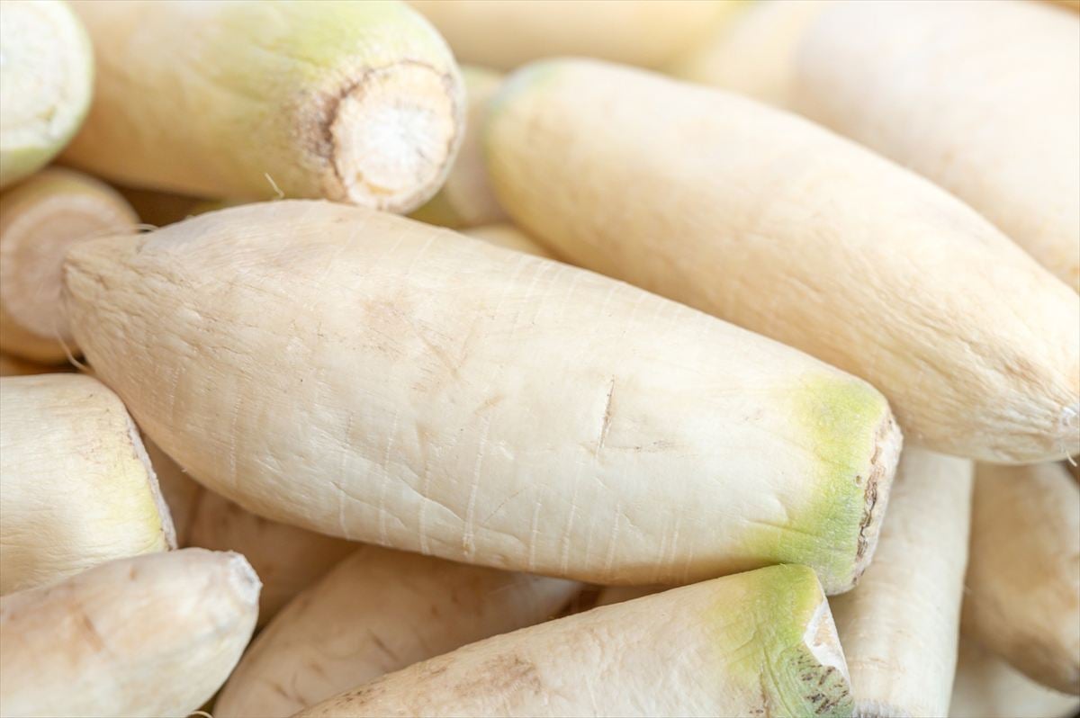 しわしわになったダイコンに栄養はあるの？