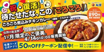 「ごろごろ煮込みチキンカレー」のイメージ
